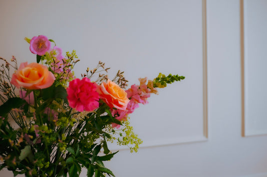 The Hope Bringer - Supporting Refuge, fighting against domestic violence against women and children